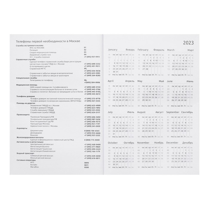 Ежедневник датированный 2024 года, А5, 176 листов, Attomex.Arkona, обложка бумвинил, ляссе, блок 70 г/м2, чёрный