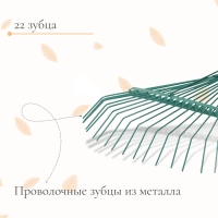 Грабли веерные, проволочные, 22 зубца, металл, тулейка 30 мм, без черенка, МИКС