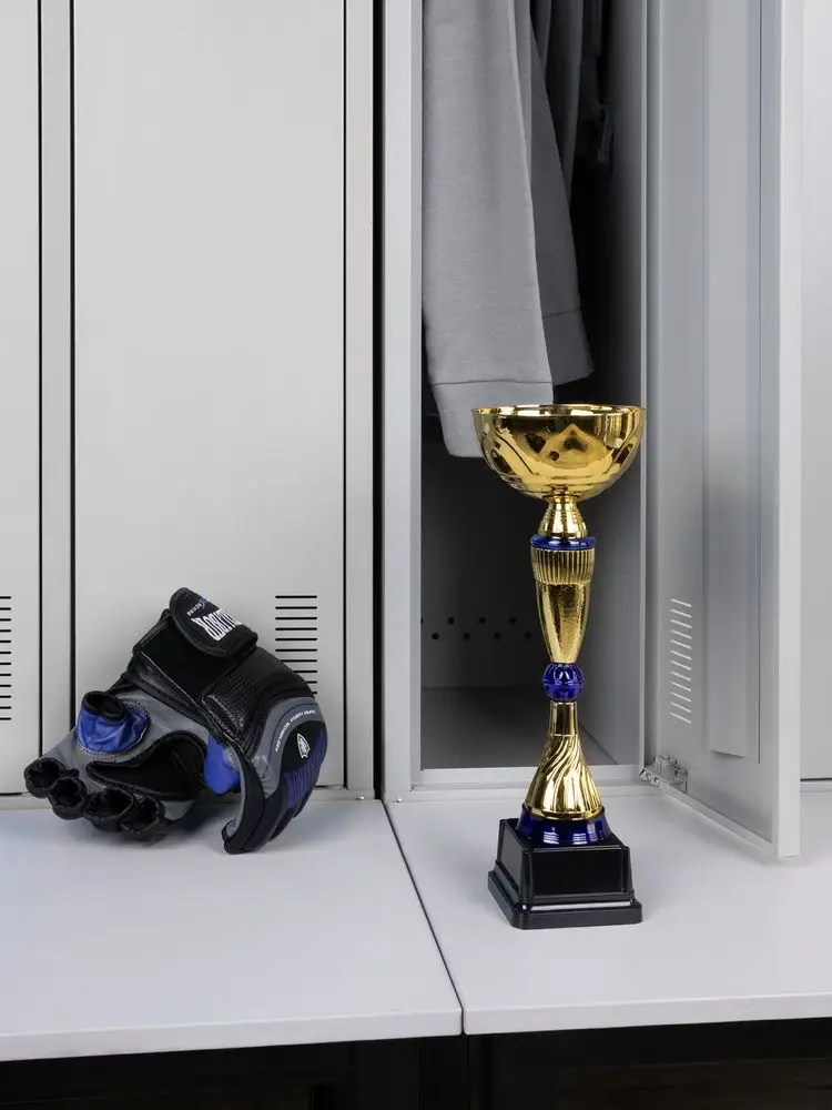 Кубок Awardee, средний, синий