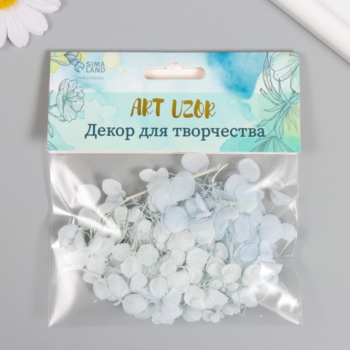 Сухоцвет Сухоцвет "Гортензия" нежно-голубой h=6-6,5 см