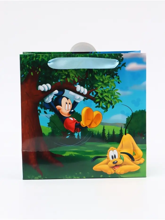 Пакет подарочный &laquo;Мышонок&raquo;, 22 &times; 22 &times; 10 см