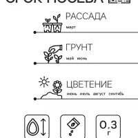 Семена  цветов Бархатцы "Апельсин" прямостоячие, О, 0,3 г