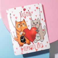 Кулоны «Неразлучники» котики пузатые, цвет чёрно-белый в серебре, 45 см Кулоны «Неразлучники» котики пузатые, цвет чёрно-белый в серебре, 45 см