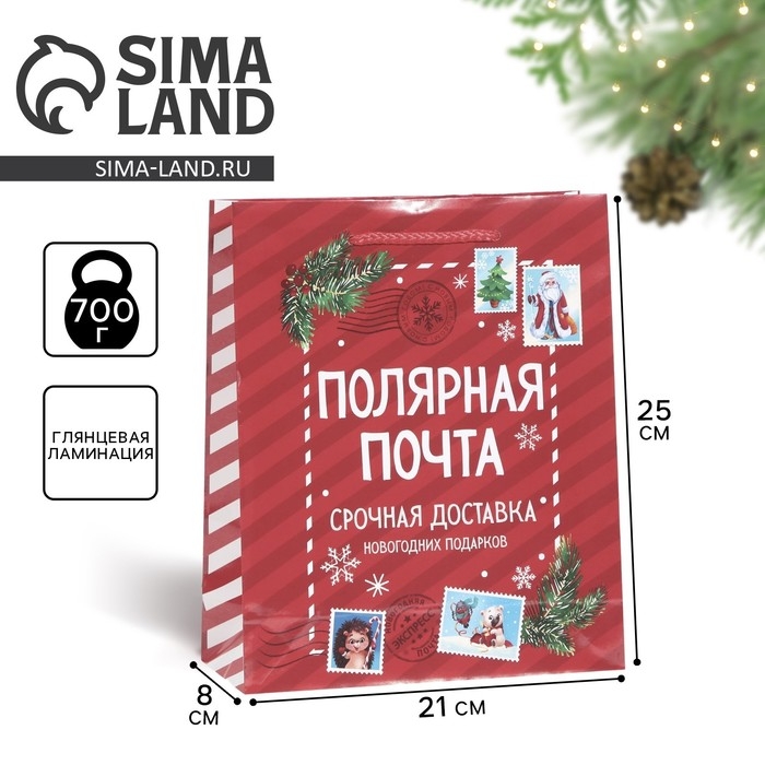 Пакет подарочный новогодний ламинированный &laquo;Полярная почта&raquo;, ML 21 х 25 х 8 см