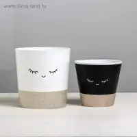 Набор кашпо для цветов 2 в 1 &laquo;Мордочки&raquo;, 0,8 и 1,6 л, 11 х 12 и 14 х 14 см