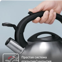 Чайник для плиты C7921024 из нержавеющей стали, со свистком