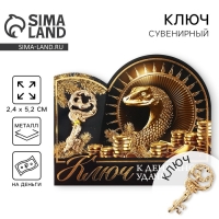 Ключ сувенирный новогодний &laquo;Новый год: К денежной удаче&raquo;, 2.4 х 5.2 см