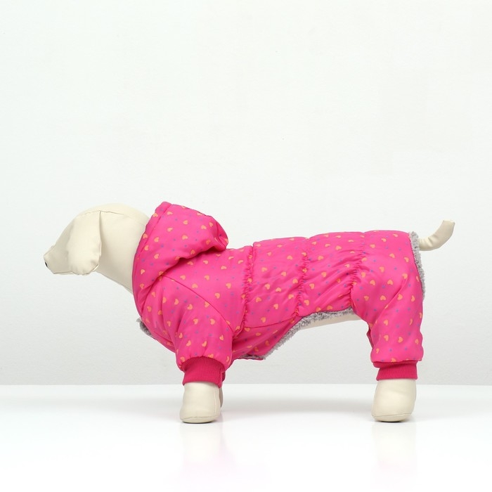 Комбинезон Комбинезон "нежный путь" на меховом подкладе, размер XL (ДС 40, ОШ 40, ОГ 50 см), розовый