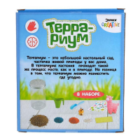 Набор для опытов &laquo;Террариум&raquo;