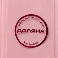 Футляр для столовых приборов Доляна, 21&times;5,5&times;2,2 см, цвет МИКС