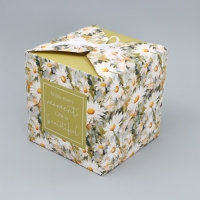 Коробка подарочная складная, упаковка, &laquo;Ромашки&raquo;, 18 х 18 х 18 см