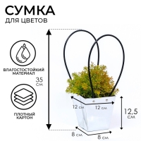 Сумка для цветов &laquo;Серебро&raquo;, влагостойкая, 12 x 12 - 8 x 8 - 12,5 см