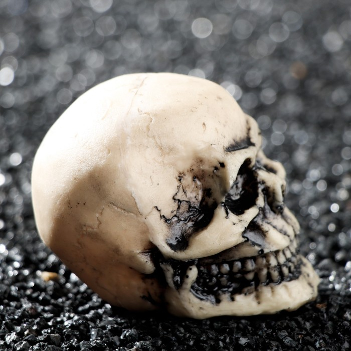 Декор для аквариума Декор для аквариума "Череп", 9 х 6 х 6 см