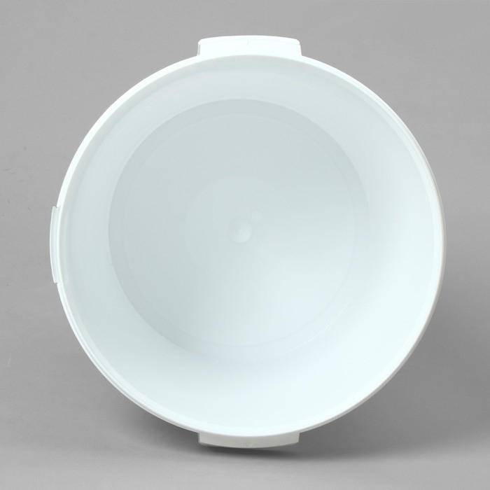 Бак пищевой &laquo;Для солений&raquo;, 32,9 л, с герметичной крышкой