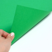 Картон цветной тонированный, А4, 10 листов, 10 цветов, немелованный, двусторонний, в пакете, 200 г/м&sup2;, Щенячий патруль