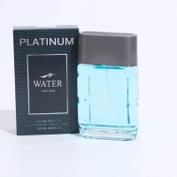 Туалетная вода мужская Platinum Water, 100 мл (по мотивам Blue Label (Givenchy) Туалетная вода мужская Platinum Water, 100 мл (по мотивам Blue Label (Givenchy)