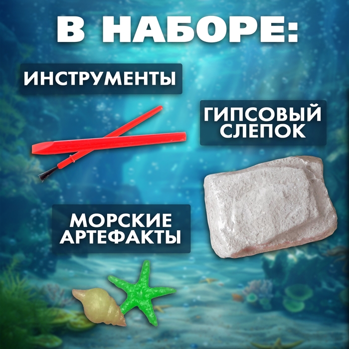 Набор для раскопок &laquo;Сокровища океана&raquo;