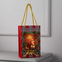 Светодиодная фигура &laquo;Пакет с Дедом Морозом&raquo; 15 &times; 23 &times; 7 см, пластик, батарейки ААх3 (не в комплекте), USB, свечение тёплое белое