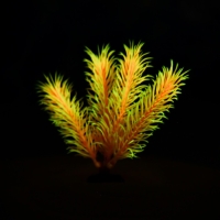 Растение искусственное аквариумное, светящееся, 10 см, красное Растение искусственное аквариумное, светящееся, 10 см, красное