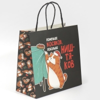 Пакет подарочный новогодний &laquo;Косяки наше всё&raquo;, 22 х 22 х 11 см, Новый год