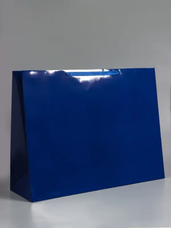 Пакет ламинированный горизонтальный "Синий", XXL  61 х 46 х 20 см