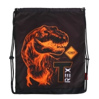 Рюкзак школьный 37 x 28 x 13см, эргономичная спинка, Across 557, + мешок, черный/оранжевый