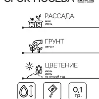 Семена цветов Нивянник, многолетний, белый 0,1 г