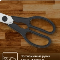 Кухонные ножницы K1701374, нержавеющая сталь