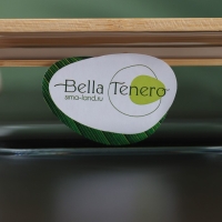 Контейнер для еды из жаропрочного стекла с бамбуковой крышкой BellaTenero &laquo;Эко&raquo;, 370 мл