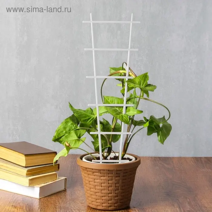 Шпалера, 56&times;19&times;0.5 см, пластик, цвет МИКС, &laquo;Лесенка&raquo;