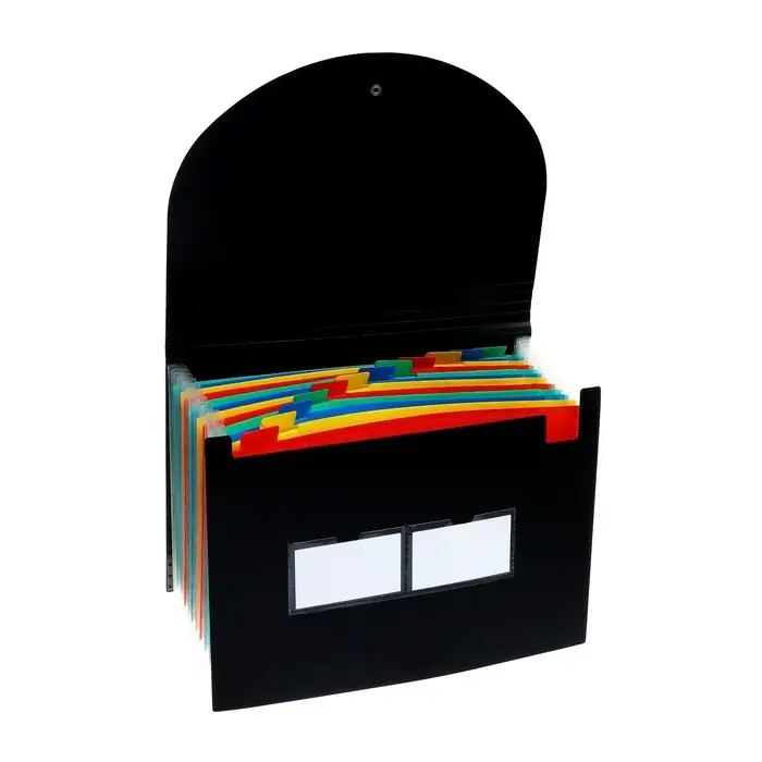 Папка для бумаги А4 на резинке пластиковая Calligrata, 12 отделений, черная