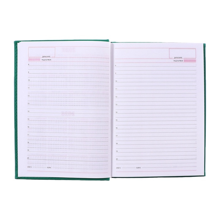 Ежедневник недатированный А5, 160 листов "Вивелла", обложка искусственная кожа, светло-зелёный