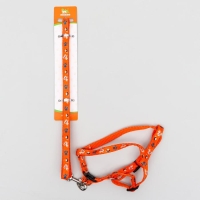 Комплект амуниции "Собачки",  поводок 120 х 1 см, ОГ 27-42 см, оранжевый