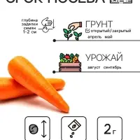 Семена Морковь "Нантская 4", 2 г
