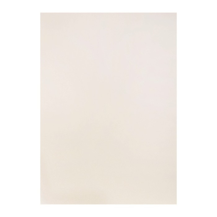 Бумага для пастели А4, 10 листов, Бумага для пастели А4, 10 листов, "Пейзаж", бумага слоновая кость, ГОЗНАК, тиснение "скорлупа", блок 200 г/м2, в папке