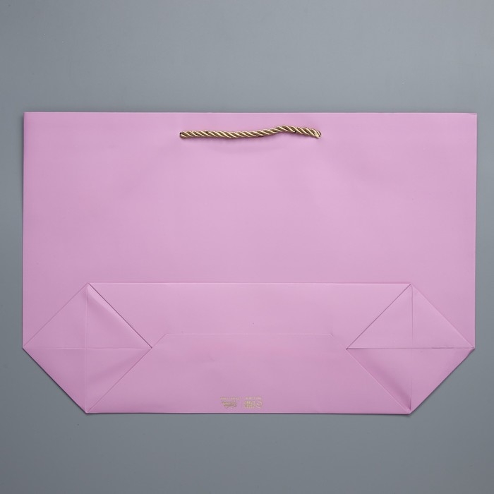 Пакет подарочный, упаковка, &laquo;Present&raquo;, 30 х 27.5 х 12 см