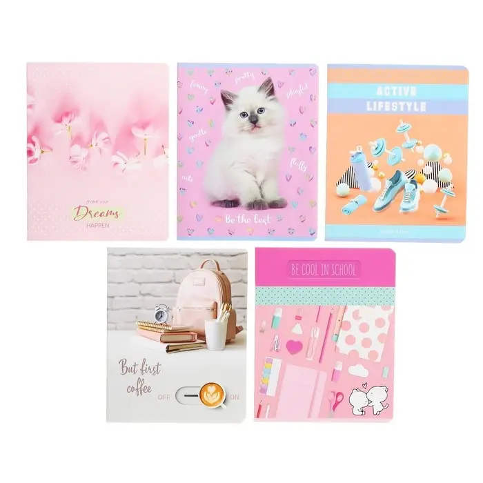 Тетрадь 48 листов в линию &laquo;Девочки&raquo;, обложка мелованный картон, блок офсет, МИКС