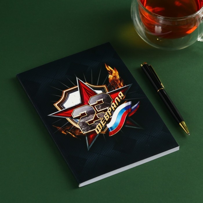 Набор &laquo;Лучшему защитнику&raquo;: чай чёрный 20 г. термостакан 350 мл., ежедневник 80 листов, ручка