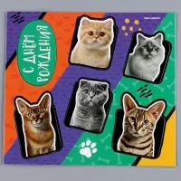 Топперы для торта &laquo;Котики&raquo;, картон на подложке, с проволокой