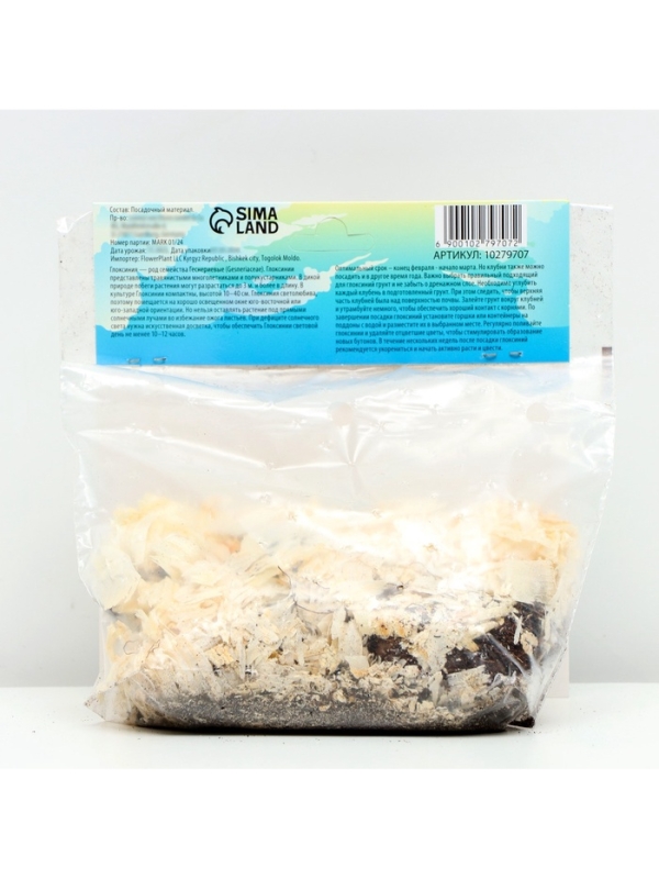 Глоксиния «Монт Бланк», многолетник, комнатный, луковица в пакете с перфорацией, р-р 5/6, 2 шт. Глоксиния «Монт Бланк», многолетник, комнатный, луковица в пакете с перфорацией, р-р 5/6, 2 шт.