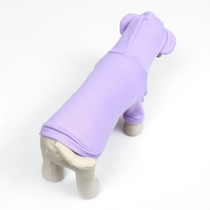 Кофта с капюшоном Кофта с капюшоном "Медвеженок", флис, размер XL (ДС 34, ОШ 38, ОШ 48 см), фиолетовая