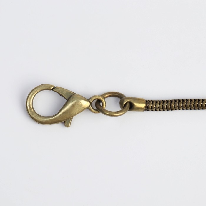 Цепочка-шнурок для сумки, с карабинами, железная, d = 3,2 мм, 120 см, цвет бронзовый