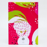 Папка для документов "Documents", 8 файлов А4, Минни Маус