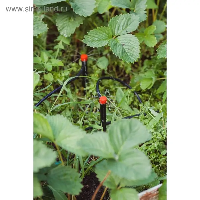 Форсунка - ороситель разбрызгивающая для капельного полива, d=5 мм, пластик, с пикой, Greengo