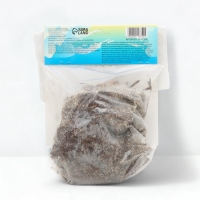 Астильба Арендса Cattleya многолетник, корневище в торфогрунте, р-р II, 2 шт.