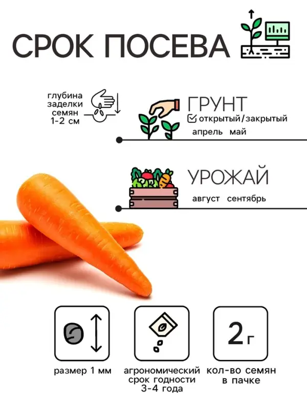 Семена Морковь "Витаминная 6", 2 г
