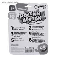 Набор для опытов &laquo;Растим цветок&raquo;, цвета МИКС