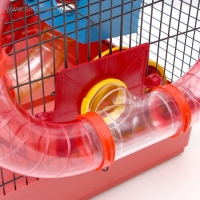 Клетка для грызунов "Хома 4", 55 x 37 x 42 см, микс цветов Клетка для грызунов "Хома 4", 55 x 37 x 42 см, микс цветов