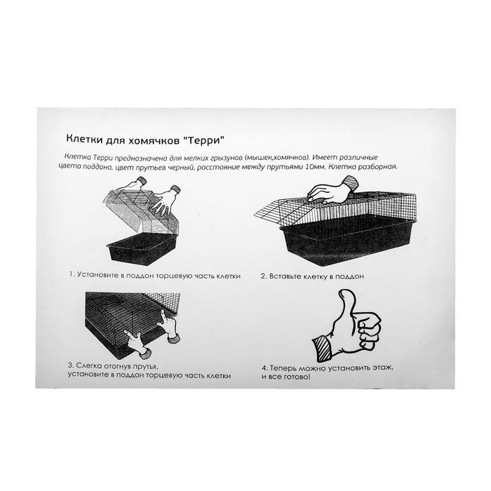 Клетка для грызунов Клетка для грызунов "Пижон" №4, с этажом, укомплектованная, 37х26х18 см, бирюзовая