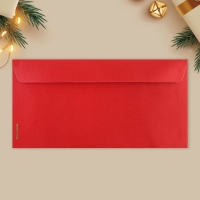 Набор подарочных конвертов &laquo;С Новым годом&raquo;, 10 штук, тиснение, 22 х 11 см, Новый год